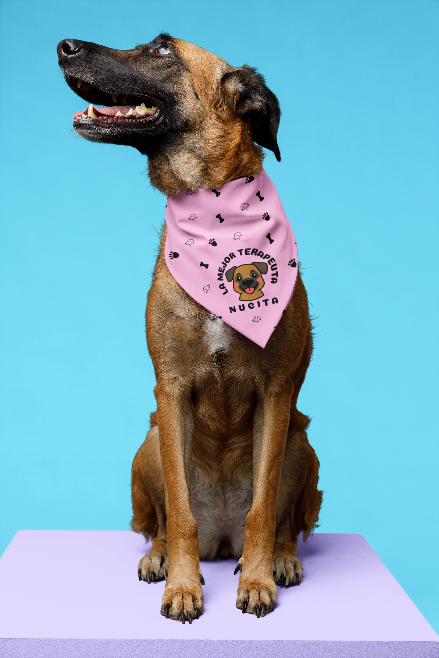 BANDANA PERSONALIZADA "LA / EL MEJOR TERAPEUTA"